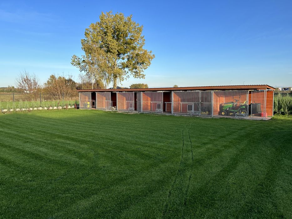 Boksy Kojce dla psow