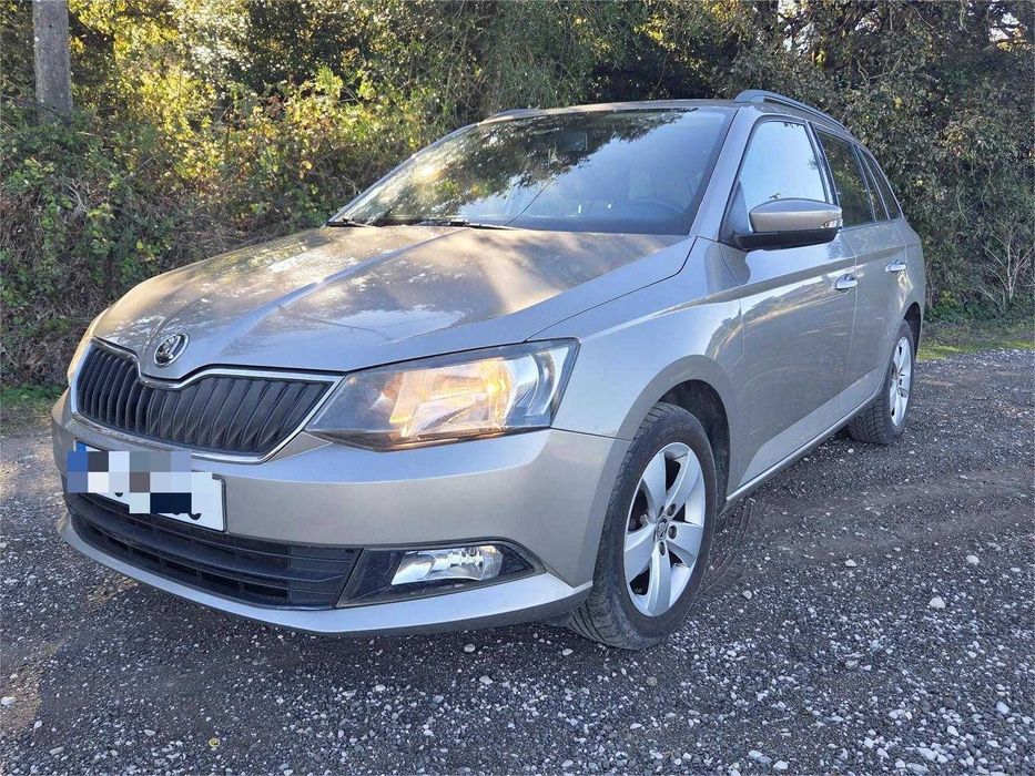 Skoda Fabia Break 1.4 TDI Livro de Revisões Completo