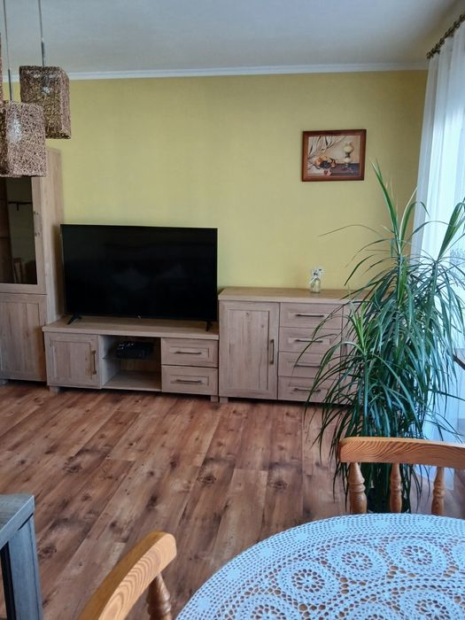 Zdjęcie 7