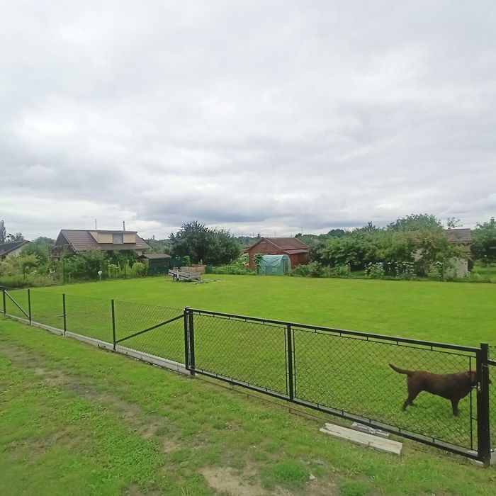 Działka "ROD Widok" Szczecin Nehringa - Widok 5