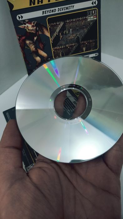 Beyond Divinity PC PL gra