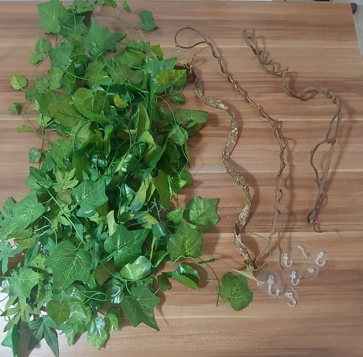 Terrário + Acessórios