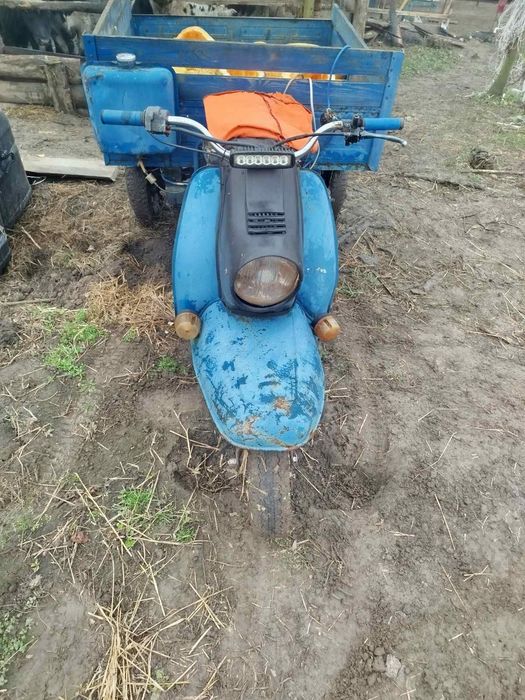 Продам муровей з документами