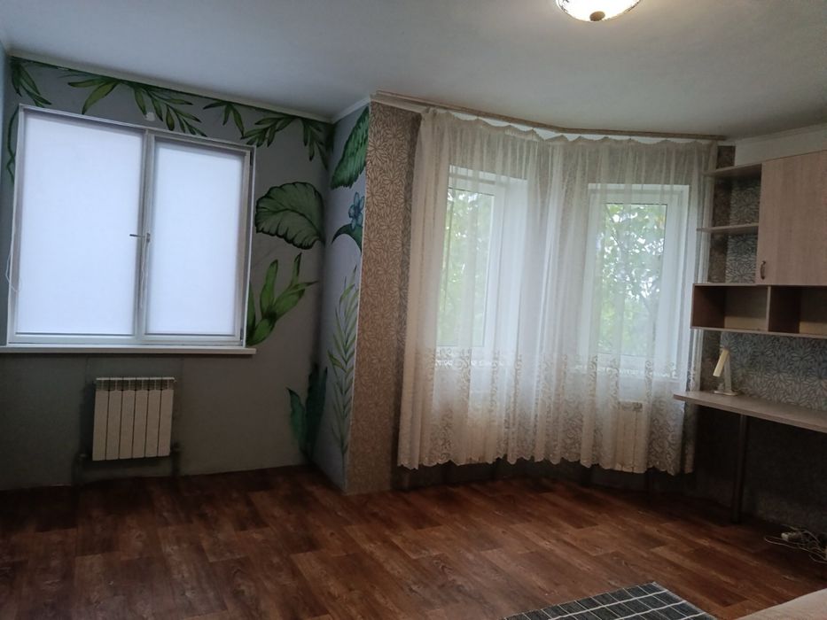 Велика однокімнатна квартира