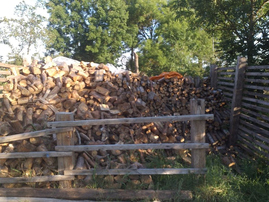 Drewno opałowe iglaste i liściaste