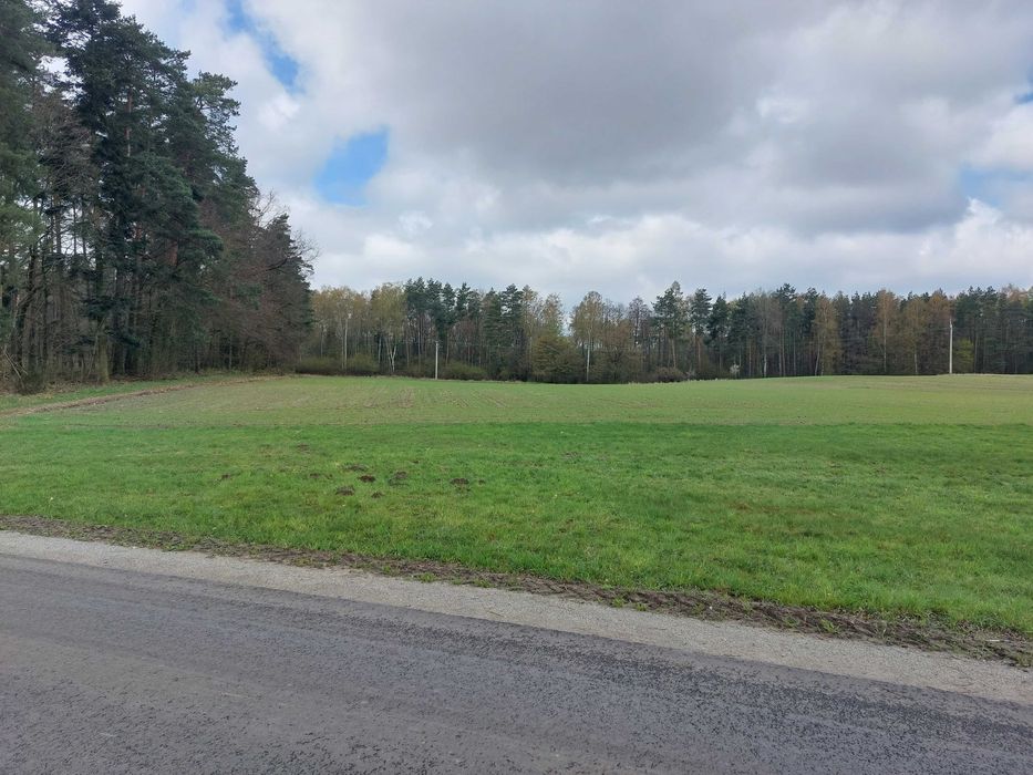 Działka budowlana pod lasem - Kobyla Góra
