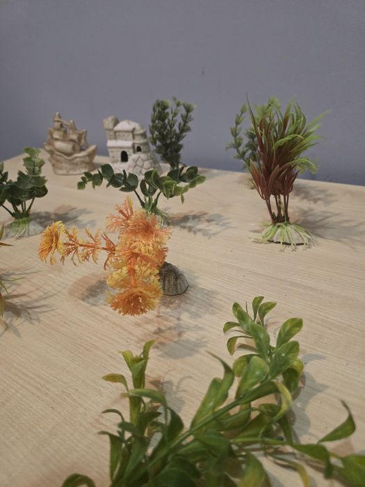 Roślinki,  filtr do akwarium