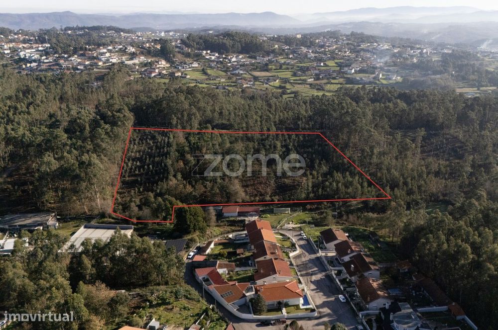 Terreno Rustico com 22500 m2, em Argoncilhe, Santa Maria da Feira
