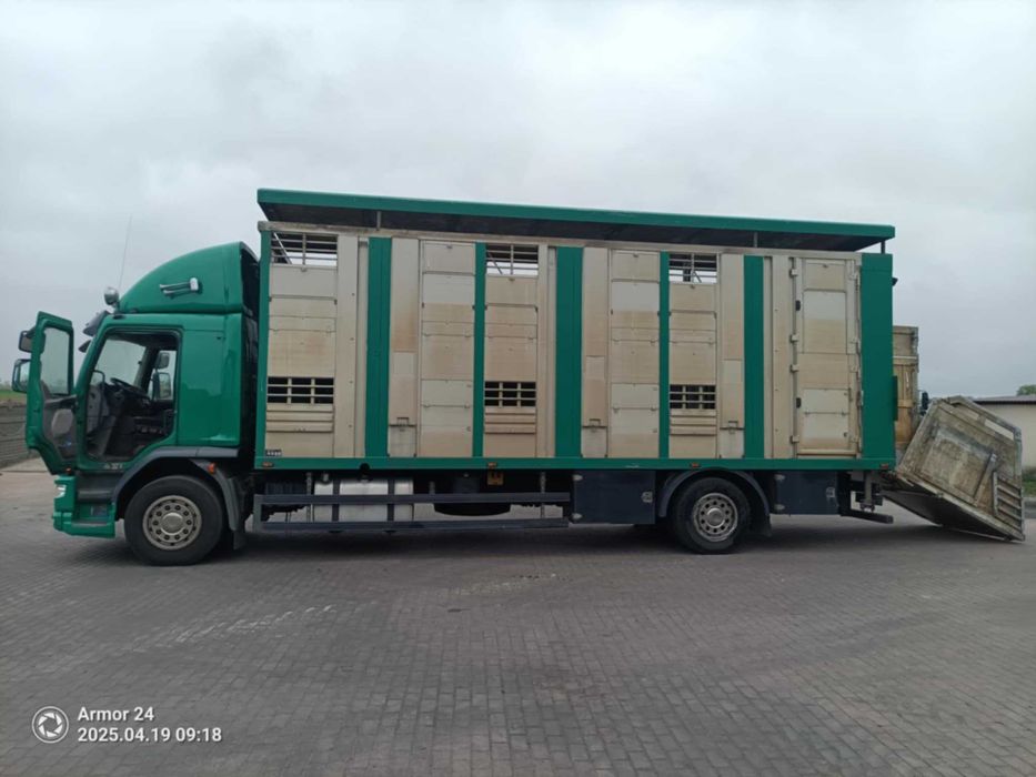 Daf do przewozu zwierząt