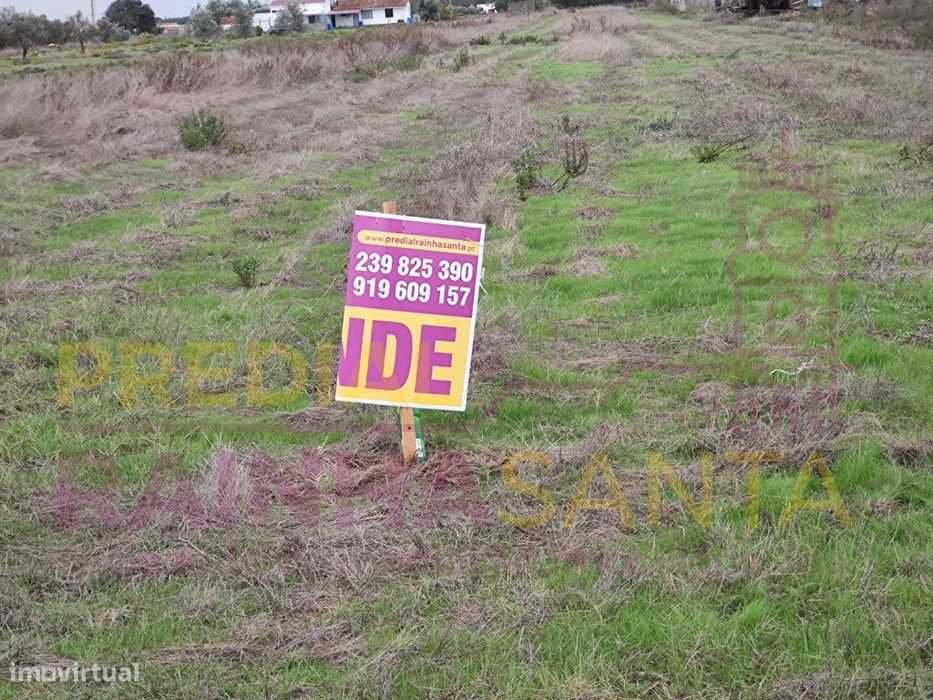 Terreno rustico-Alpiarça