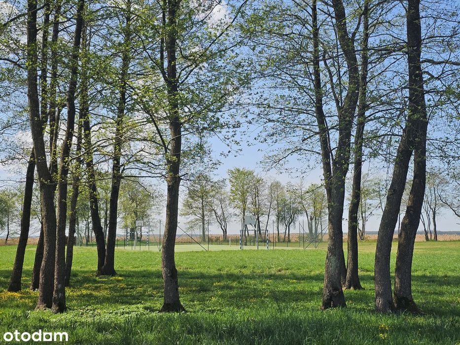 Działka na prywatnym osiedlu Dargin Mamry Harsz 30 arów 3000 m² Mazury - Więcej