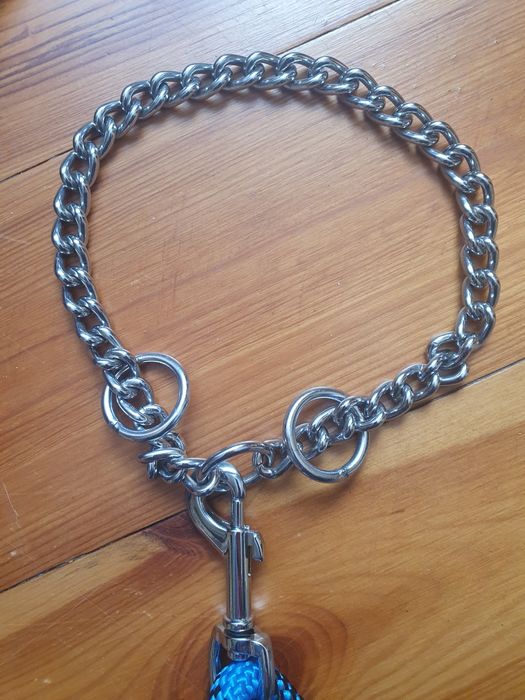 Smycz +Obroża dla Psa