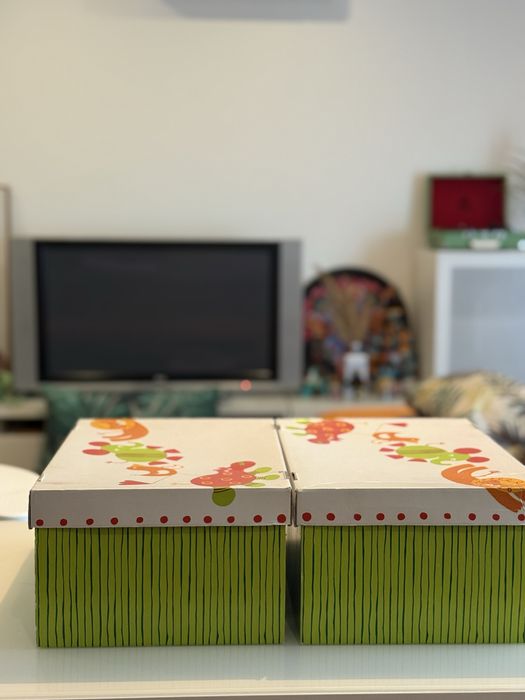 2 caixas para arrumacao