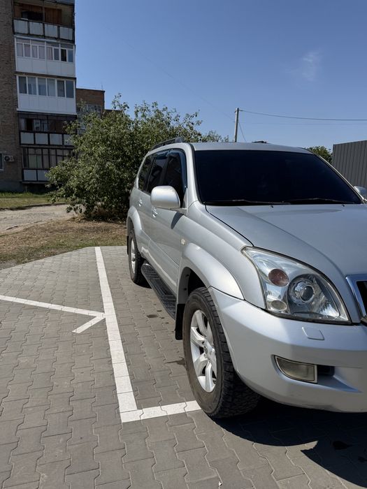 Продам надійного коня