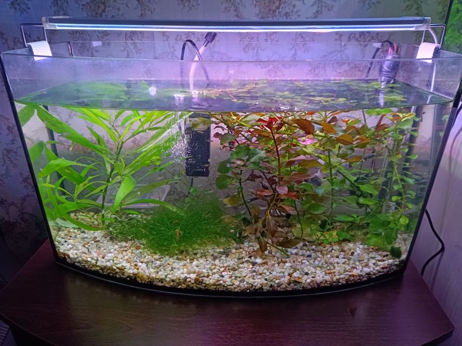 2 аквариума работающих