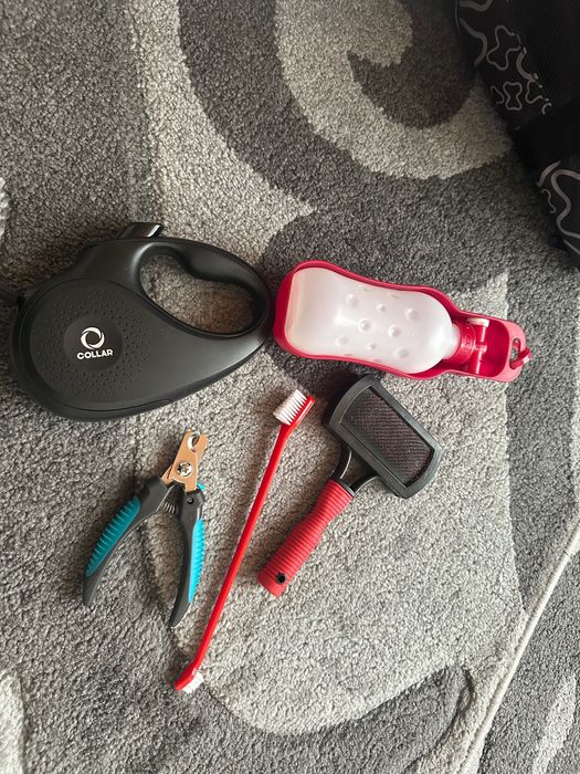 Сумка для собак, лежанка , поводок )