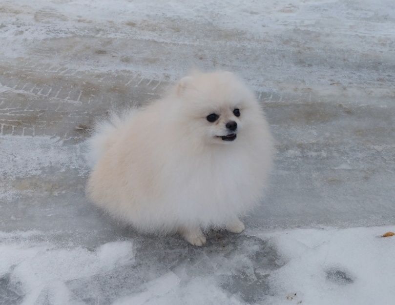 Хлопчик без недоліків