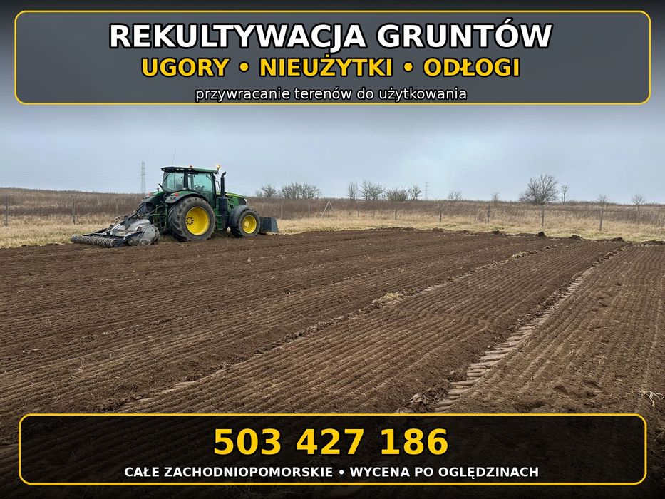 Karczowanie działek | Mulczowanie wgłębne | Pod budowę i inwestycje