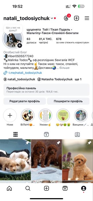 Гіпоалергенні цуцики Мальтіпу