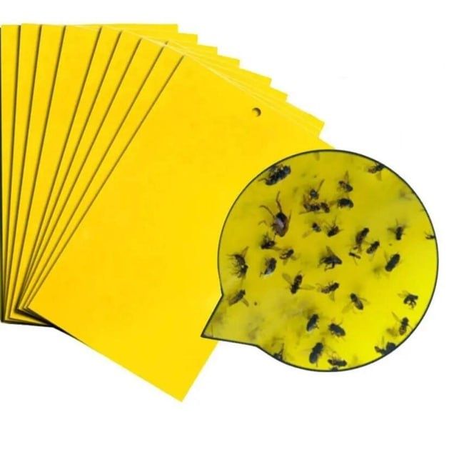 Клейка пастка для рослин в теплиці двостороння