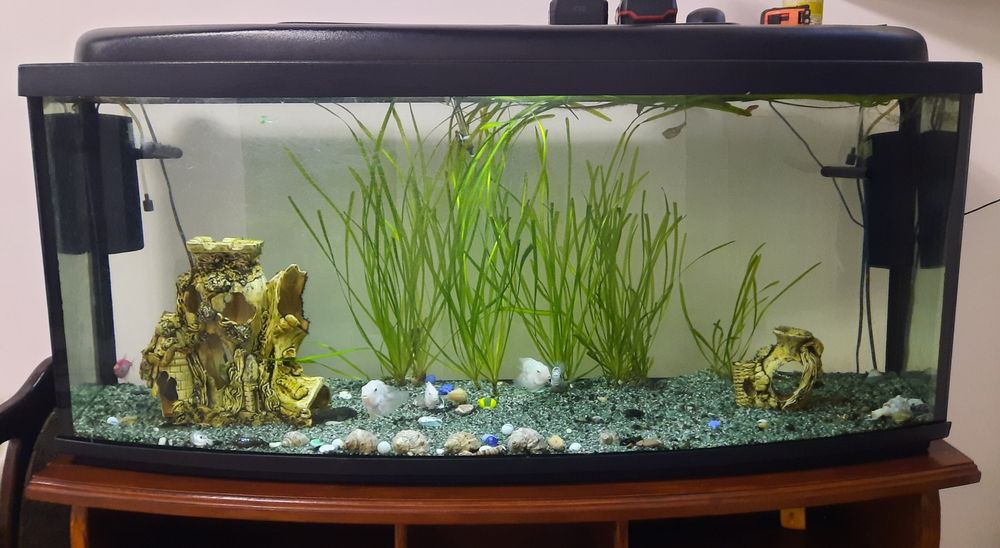 Акваріум 225л весь комплект