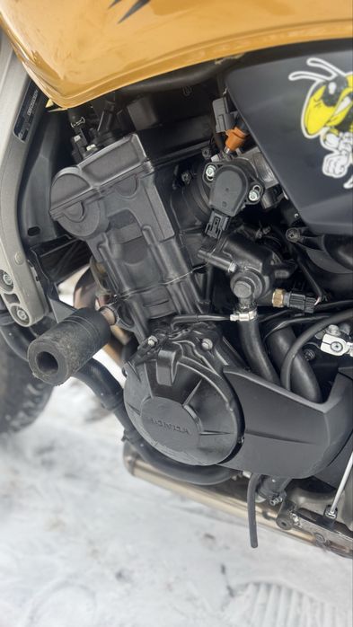 Продам Honda Hornet CB600F 2009