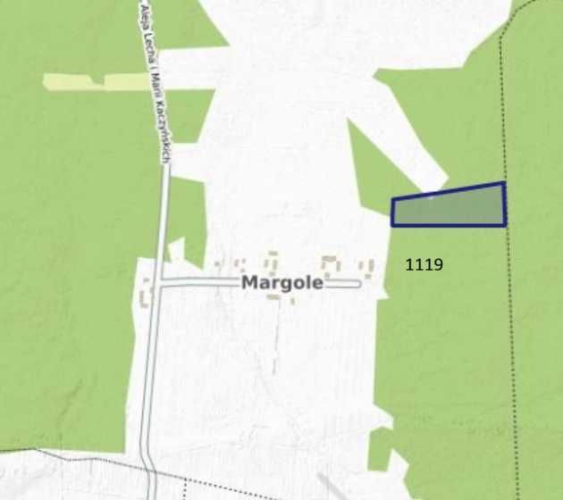 Sprzedam 4,35ha gruntów leśnych - Margole