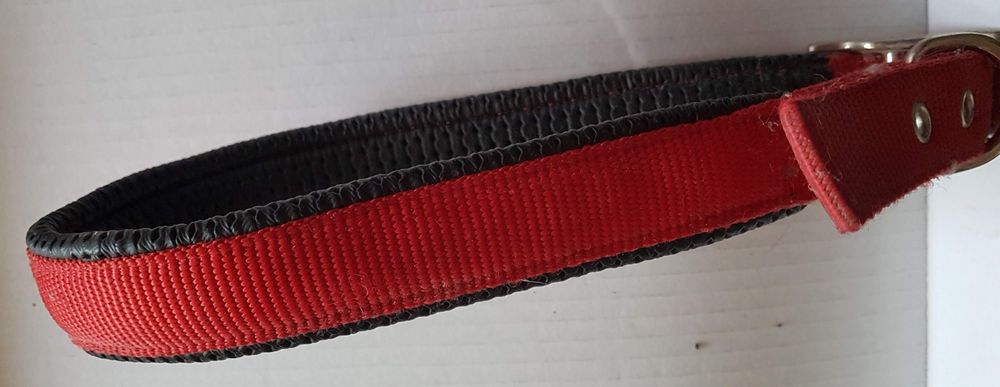 Coleira em nylon vermelha acolchoada (53a63cm perímetro)