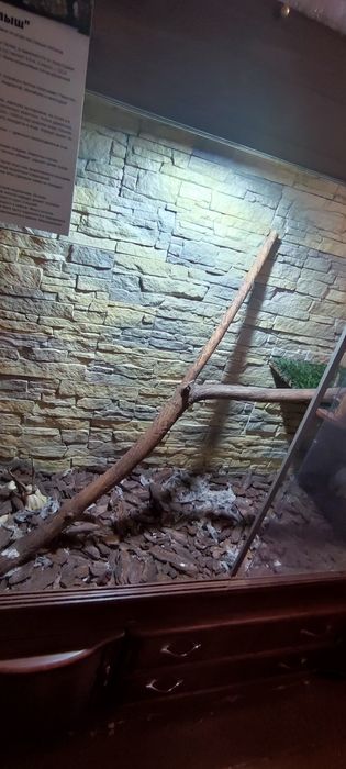 Тераріум великий террариум большой