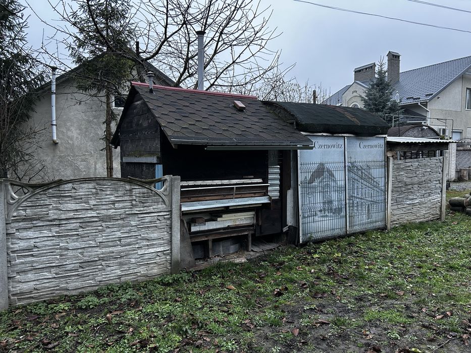 Курятник в зборі