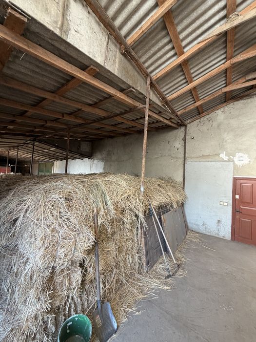 Продаж будинку на березі Лиману