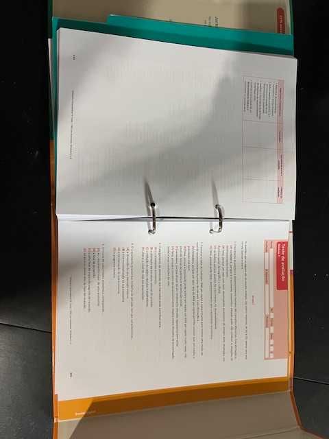 Conj. Pedag. - Economia - Profissional- "Pro em Economia (5/6/7/8)"