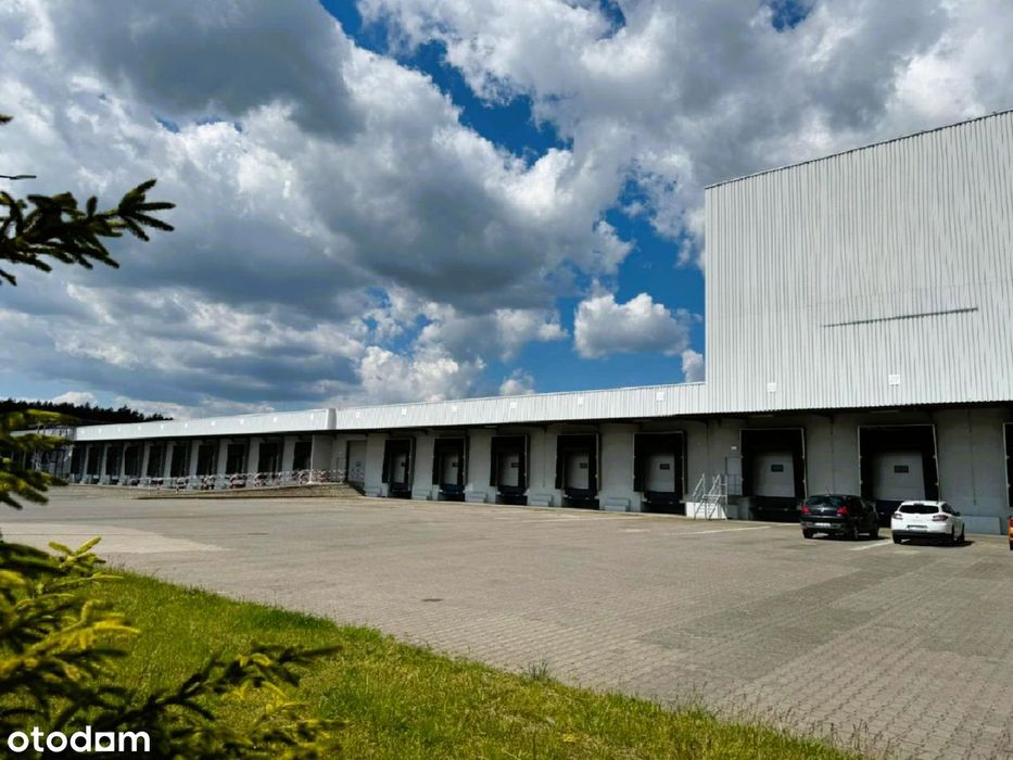 Hala magazynowa |5000 m2| najtaniej w Poznaniu