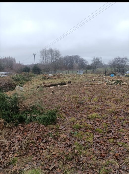 Wycinka drzew koszenie traw usługi rębak