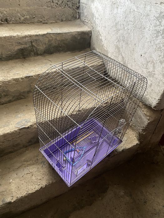Клітка для папуги