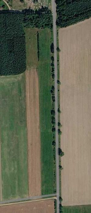 Działka rolna 6,49 ha, gm. Czyże, przy asfalcie