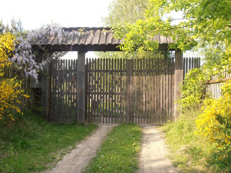BAMBUSERIA Kampinos - agroturystyka, domek letniskowy, sauna 30km. od