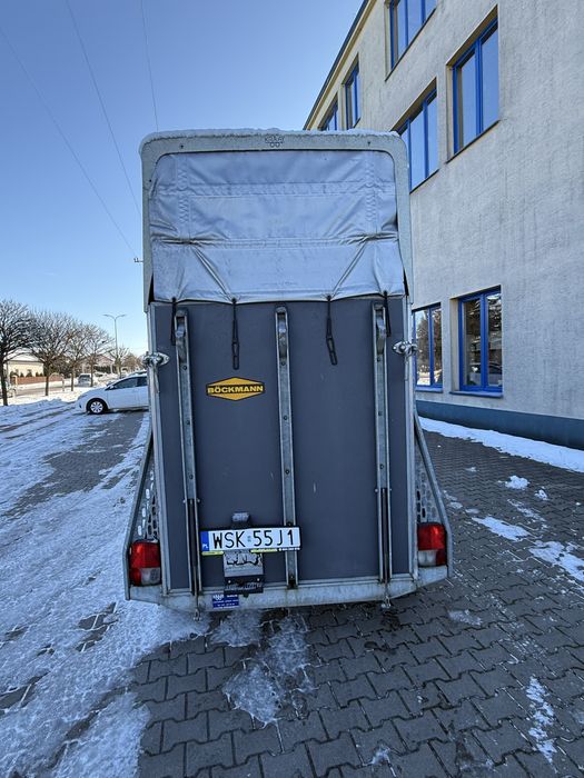 Przyczepa Do Koni Bukmanka Koniowoz DMC 1300kg Koniara