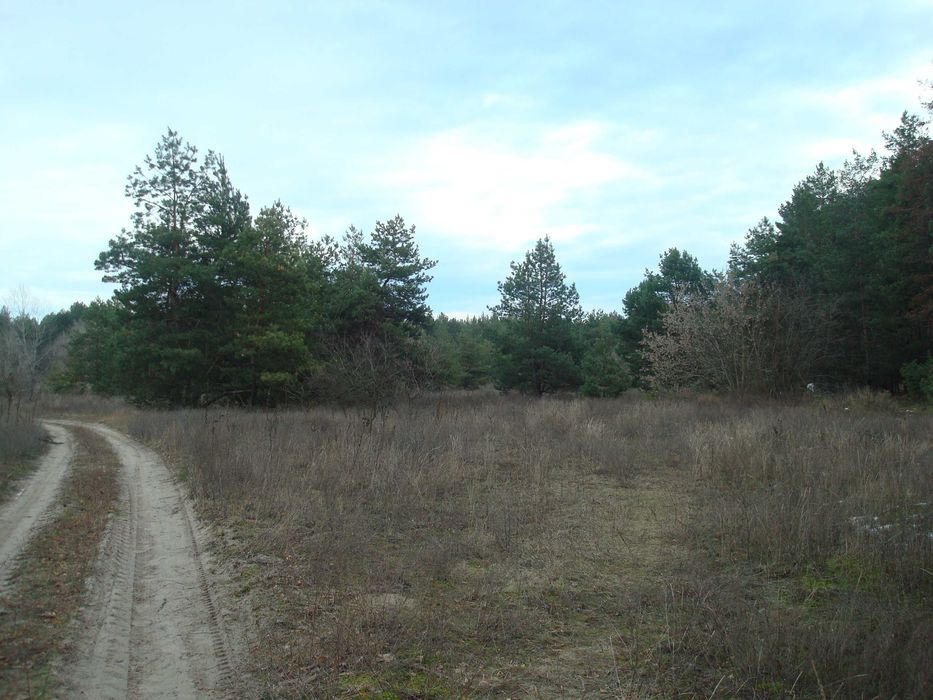 Ціну змінено!!! Продам земельну ділянку під будівництво в с. Чорнявка