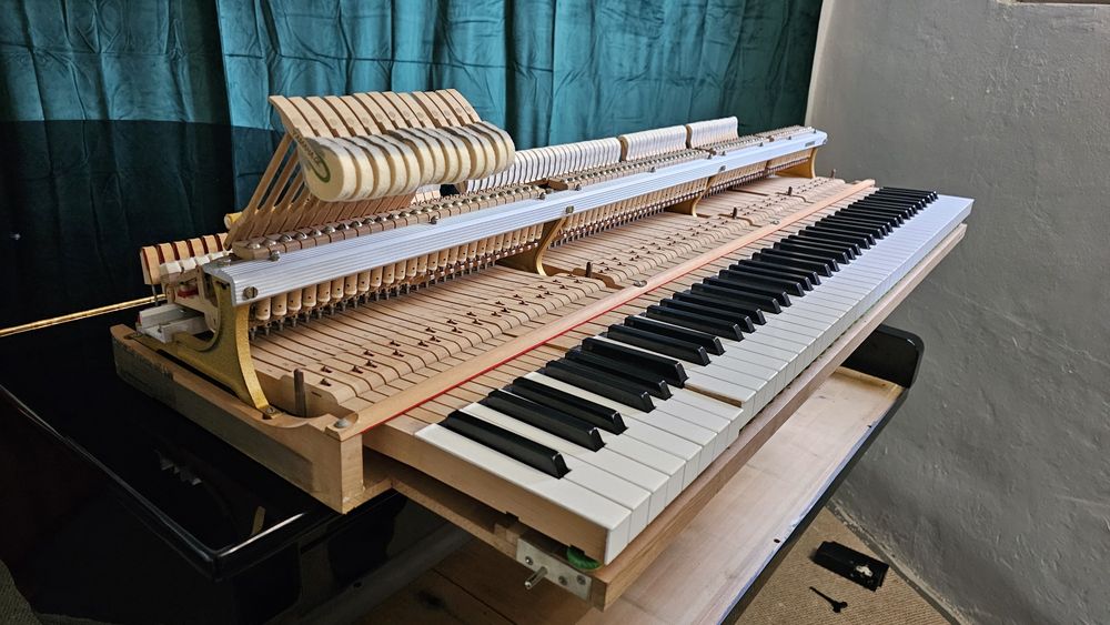 Komis, renowacja i strojenie instrumentów muzycznych