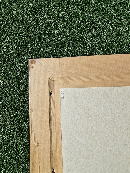 Obraz, Rosina Wachtmeister