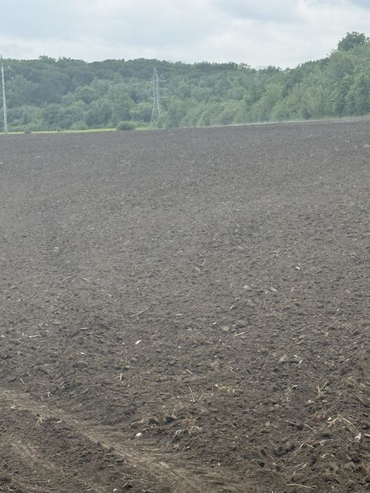 Продам землю  пай 1,8 гектара, в селі Нижній Коропець до Мукачево 5 км