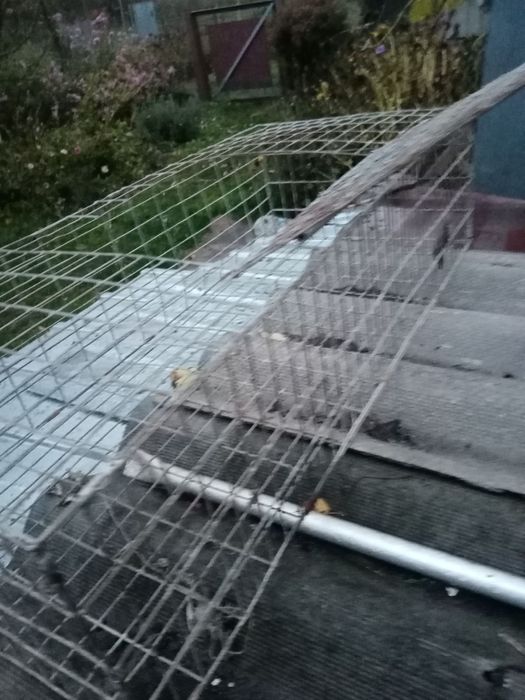 Клетки для перевоза птицы (кур, утей)