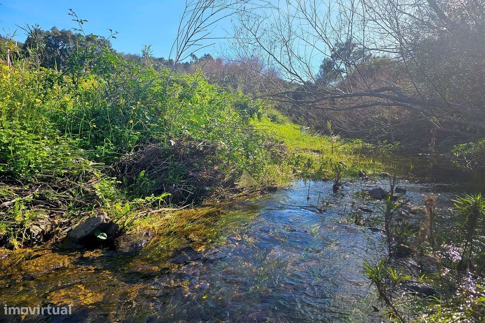 Terreno de 27 Hectares nas Romeiras, Marmelete, Monchique