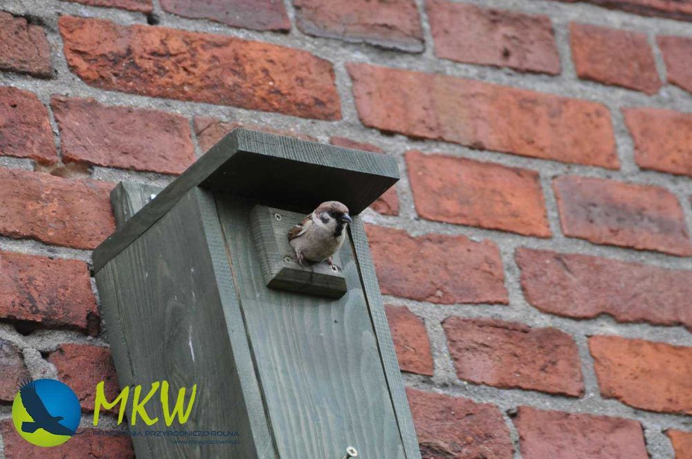 Caixa-ninho para aves modelo A PREMIUM MKW