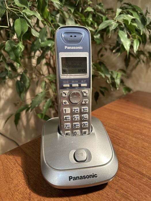 Стаціонарний телефон Panasonic KX-TG2511UA
