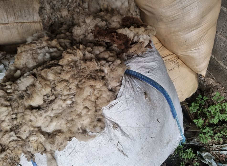 Lã de Ovelha - Big Bag