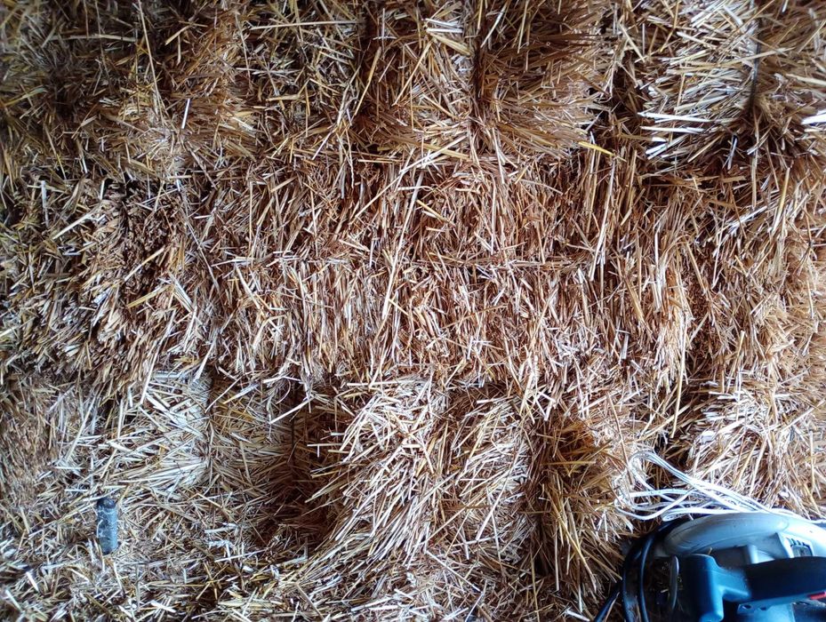 Солома пшенична,  ячмінна  в тюках