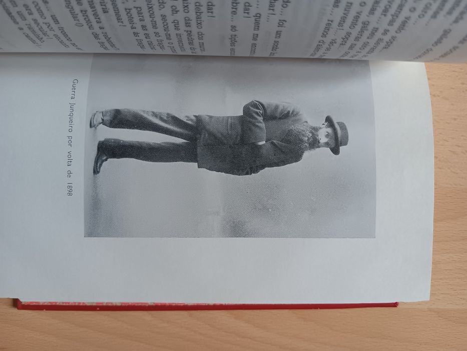 Guerra Junqueiro, Poesia