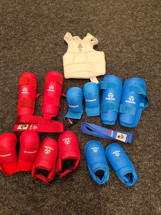 Lote equipamento hayashi de karaté